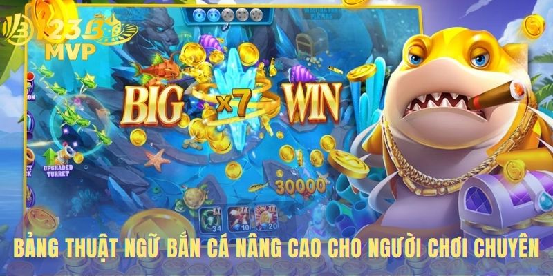 Thuật Ngữ Bắn Cá | Giải Thích Bắn Ria- Băng Bi- Xả Đạn 4 Bảng thuật ngữ bắn cá cho cao thủ thảo luận chiến lược hiệu quả