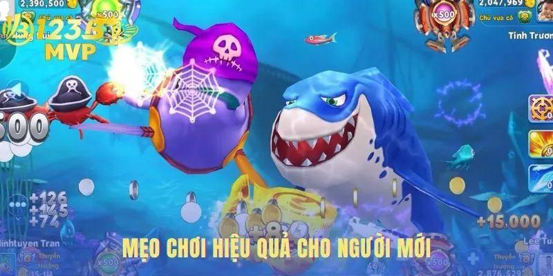 Lỗi thường gặp khi chơi bắn cá online là không quản lý vốn